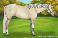 Horse Color:Silver Grullo Pearl Tobiano 