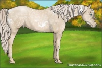 Horse Color:White Spotted Palomino Ice Pearl 
