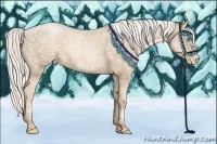 Horse Color:Silver Buckskin Ice Pearl 
