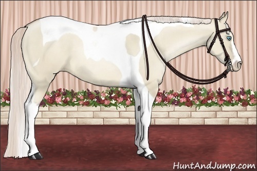 Horse Color:Chocolate Palomino Pearl Dun Sabino Tobiano 
