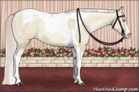 Horse Color:Chocolate Palomino Pearl Dun Sabino Tobiano