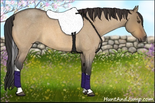 Horse Color:Buckskin Roan Dun Tobiano