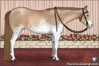 Horse Color:White Spotted Liver Chestnut Pearl Sabino