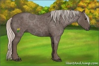 Horse Color:Silver Black 