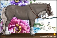 Horse Color:Silver Black Splash