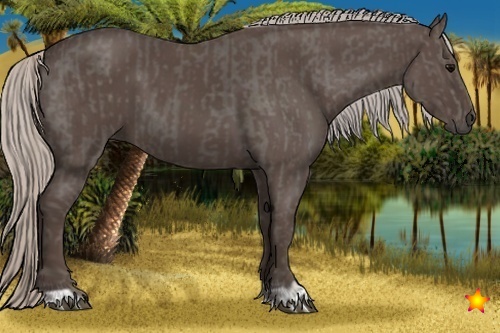 Horse Color:Silver Black and Silver Black