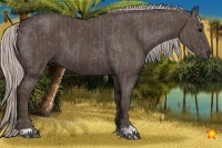 Horse Color:Silver Black and Silver Black