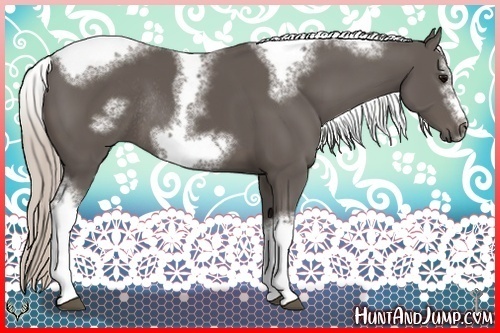 Horse Color:Silver Black Sabino Tobiano Frame Rabicano 