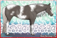 Horse Color:Silver Black Sabino Tobiano Frame Rabicano