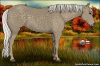 Horse Color:Silver Smoky Black 