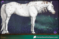 Horse Color:White Spotted Chocolate Silver Brown Dun Sabino 