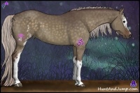 Horse Color:White Spotted Chocolate Silver Brown Dun Sabino 
