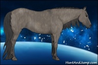 Horse Color:Smoky Grullo  Brindle