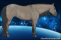 Horse Color:Smoky Grullo  Brindle