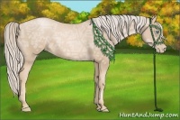 Horse Color:Palomino Ice Pearl 