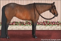 Horse Color:Bay  Brindle