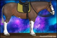 Horse Color:Liver Red Roan Splash 