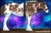 Horse Color:White Spotted Liver Chestnut