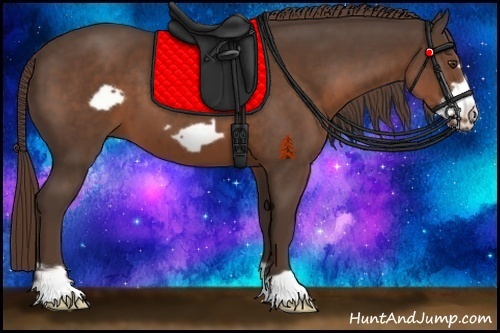 Horse Color:Liver Chestnut Frame 