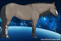 Horse Color:Smoky Grullo and Smoky Grullo