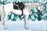 Horse Color:Cremello Appaloosa 
