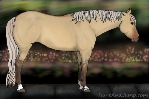 Horse Color:Silver Bay Dun  and Silver Bay Dun 