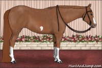 Horse Color:Chestnut Splash Frame Brindle
