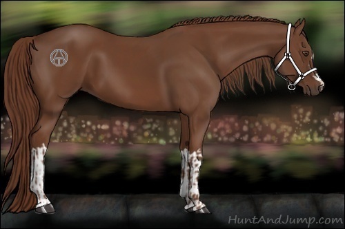 Horse Color:Chestnut  and Chestnut 