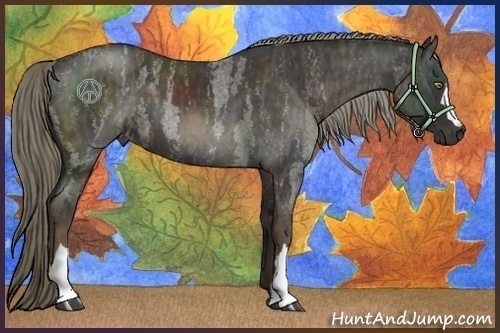 Horse Color:Liver Red Roan Brindle