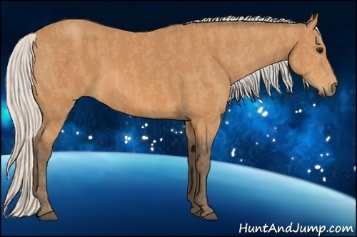 Horse Color:Silver Bay  Brindle