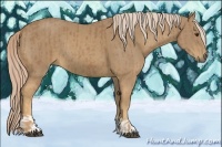 Horse Color:Palomino  and Palomino 