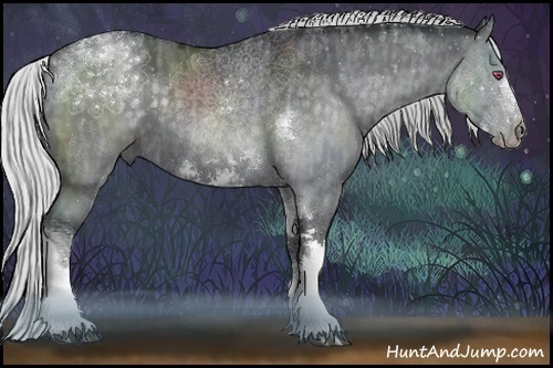 Horse Color:Silver Grullo Chinchilla Sabino Tobiano Frame Rabicano  Brindle