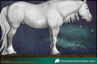 Horse Color:Silver Grullo Chinchilla Sabino Tobiano Frame Rabicano  Brindle