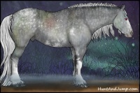 Horse Color:Silver Grullo Chinchilla Sabino Tobiano Frame Rabicano Brindle