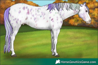 Horse Color:Nacre Watercolor White Spotted Liver Chestnut Ice Tobiano Near Leopard and Nacre Watercolor White Spotted Brown Ice Tobiano Near Leopard