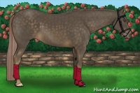 Horse Color:Chocolate Palomino 