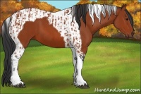 Horse Color:Bay Tobiano  and Bay Tobiano 