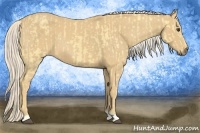 Horse Color:Palomino  and Palomino 
