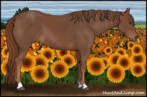 Horse Color:Chestnut and Chestnut