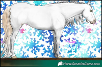 Horse Color:Gold Champagne Roan Dun Splash Tobiano Frame Appaloosa Rabicano 