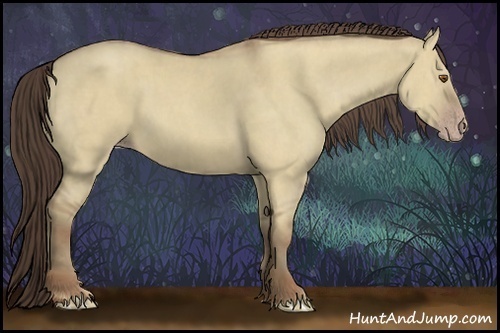 Horse Color:Classic Champagne Dun  Brindle