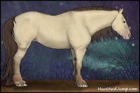 Horse Color:Classic Champagne Dun Brindle