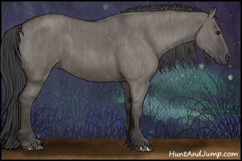 Horse Color:Smoky Grullo Roan Brindle