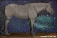 Horse Color:Smoky Grullo Roan  Brindle