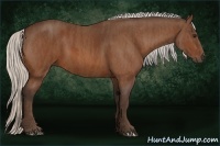 Horse Color:Silver Bay Brindle