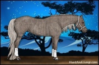 Horse Color:Silver Blue Roan  and Silver Blue Roan 
