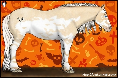 Horse Color:Silver Amber Cream Champagne Roan Splash Frame Rabicano
