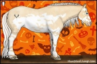 Horse Color:Silver Amber Cream Champagne Roan Splash Frame Rabicano
