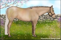 Horse Color:Silver Black Pearl Sabino Rabicano 