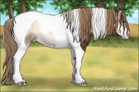 Horse Color:Liver Red Onyx Sabino Tobiano